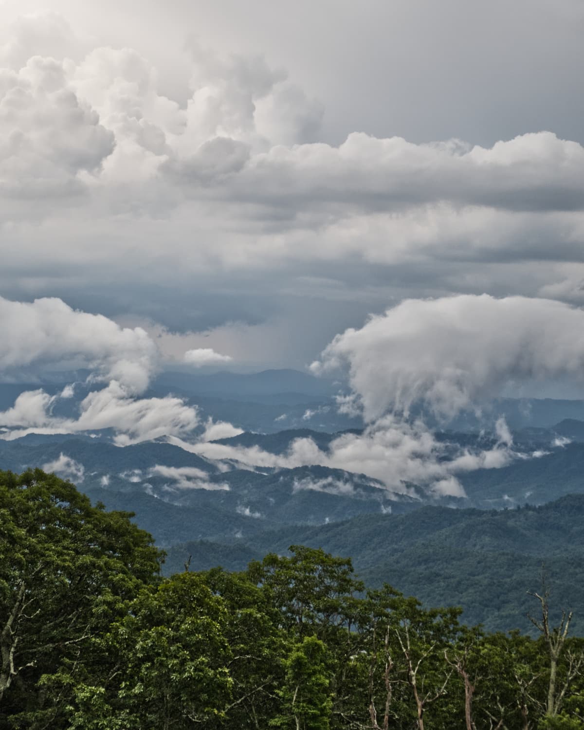 A moody day along the Blue Ridge Parkway.