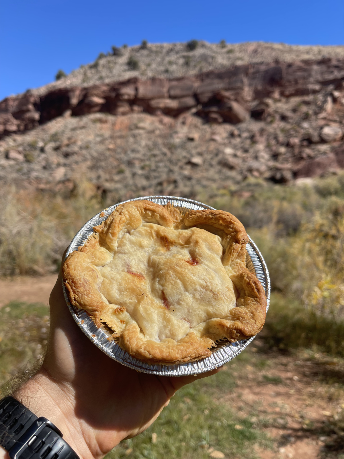 hickman_bridge_portrait_img